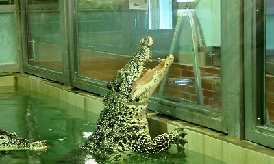 img-0826-2.jpg