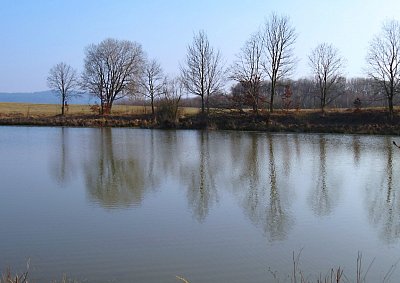 img-0873.jpg