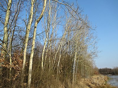 img-0887.jpg