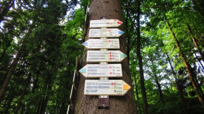 img-0939.jpg