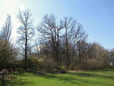 img-1022-2.jpg