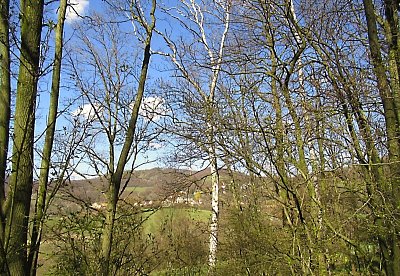 img-1040-1.jpg