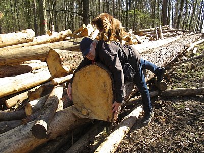 img-1110.jpg