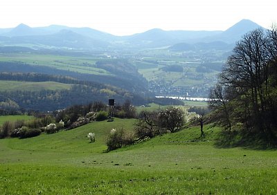 img-1114.jpg