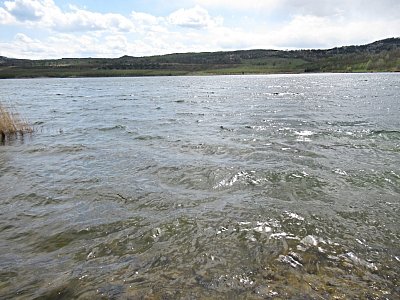 img-1214.jpg