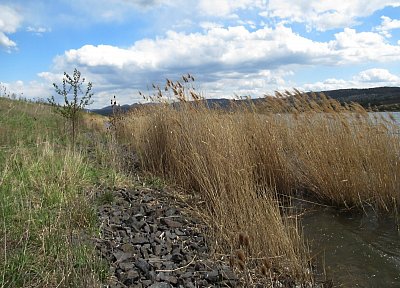 img-1223-2.jpg