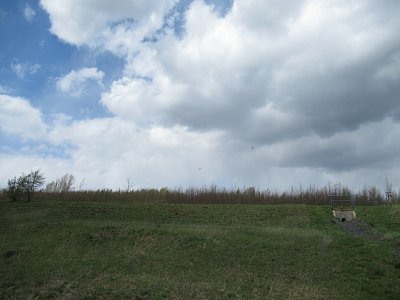 img-1242-1.jpg