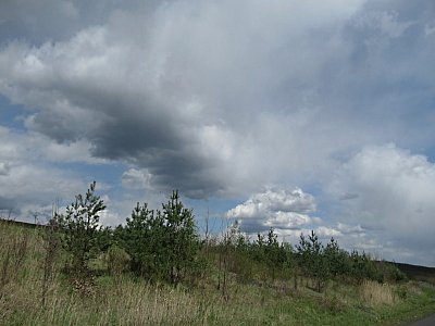 img-1344.jpg