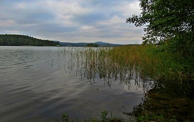 img-1358-1.jpg
