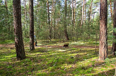 img-1373-1.jpg