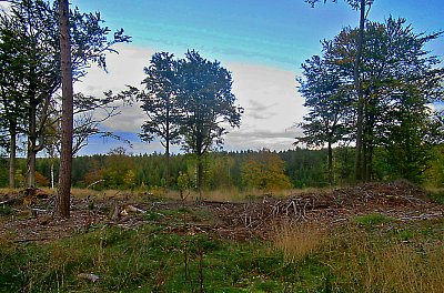 img-1693-1.jpg