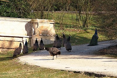 img-1827-pavi-harem.jpg