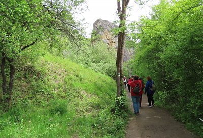 img-2015-koukejte-skala-1.jpg