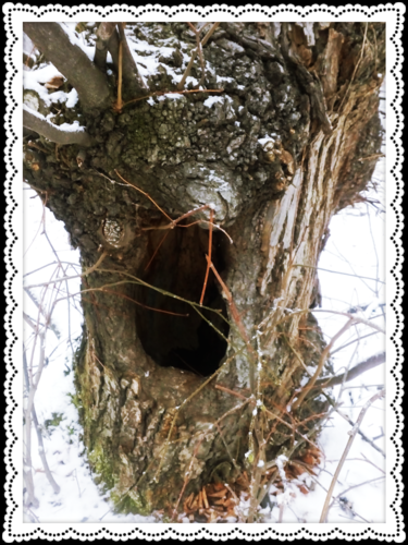 img-20160106-77.png