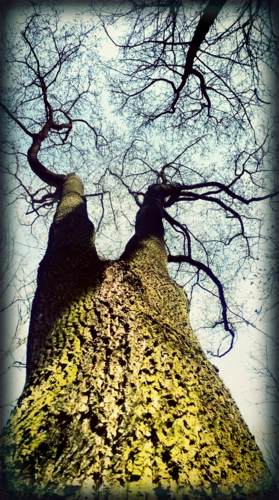 img-20160412-4.png