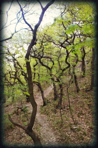 img-20160508-5.png