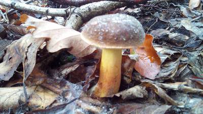 img-20161015-125441.jpg