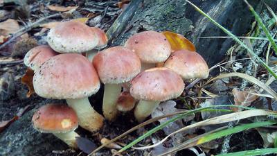 img-20161015-130356.jpg