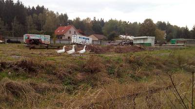 img-20161015-153854.jpg
