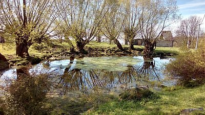 img-20170503-093055.jpg
