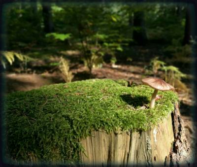 img-20170930-53.png