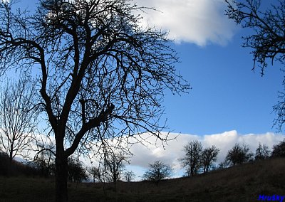 img-2018-2.jpg