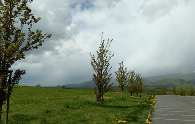 img-20180426-120338-a.jpg