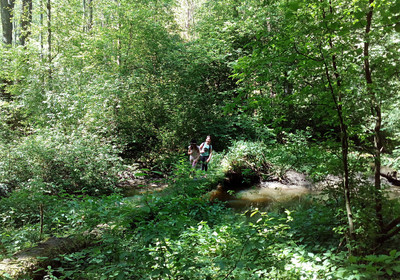 img-20180507-123653-a.jpg