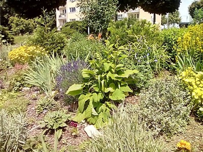 img-20180615-121603.jpg