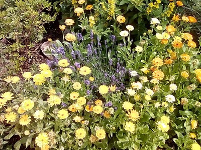 img-20180615-121731.jpg