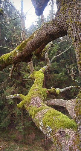img-20181104-28.jpg