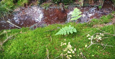 img-20181104-31.jpg