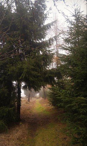 img-20181104-38.jpg