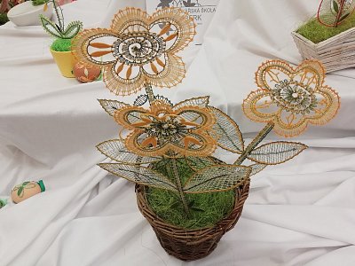 img-20190413-150844.jpg