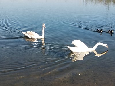 img-20190421-094736.jpg