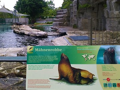 img-20190521-122917.jpg