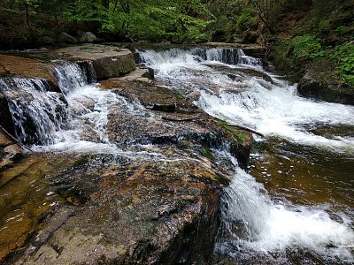 img-20190601-122648.jpg