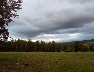 img-20191010-172649.jpg