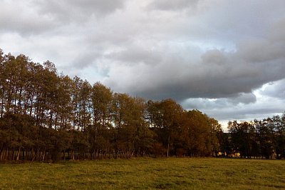 img-20191010-173045-a.jpg