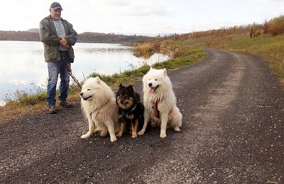 img-20191028-123531-a.jpg