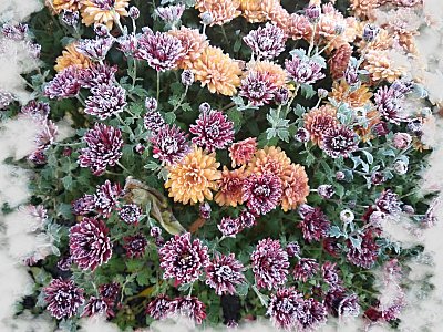 img-20191031-091131.jpg