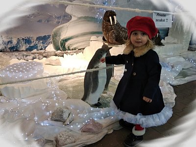 img-20191213-114036.jpg