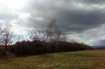 img-20200322-142138-a.jpg