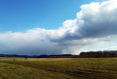 img-20200322-143716-a.jpg