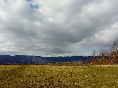 img-20200322-145520.jpg