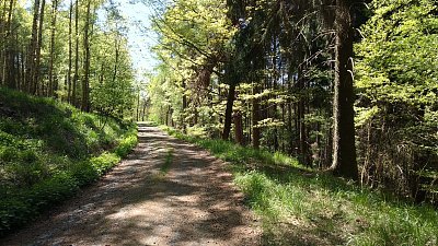 img-20200507-112330.jpg