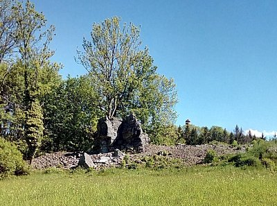 img-20200530-101732-2.jpg