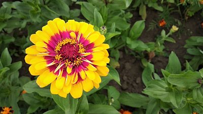 img-20200710-154119.jpg