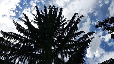 img-20200710-162347.jpg