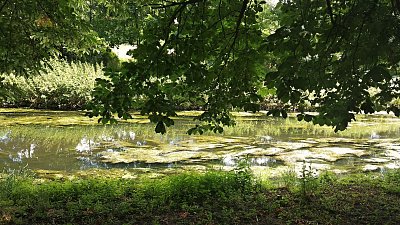 img-20200713-143026.jpg